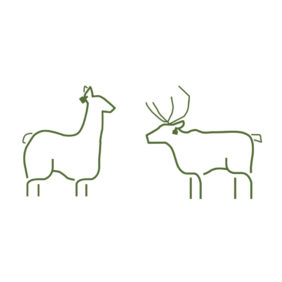 Ikon: Lama og oppdrettshjort