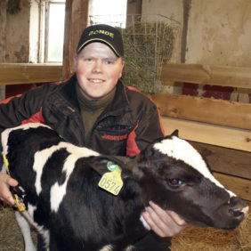 Foto: Veiledning påsetting av GS-merker Geno / BioBank