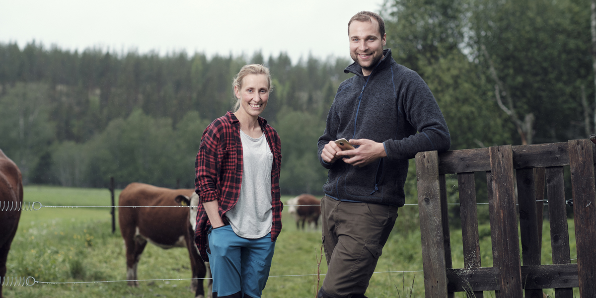 Foto: referanse, SenseHub, Anne Dieset og Ludvig Fjeld