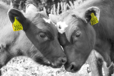 Foto: Q-produsenter bestiller i OS IDs nettbutikk