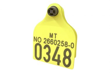 Foto thumbnail: Fra 19. november kan du bestille øremerker med dyreholds-ID til storfe