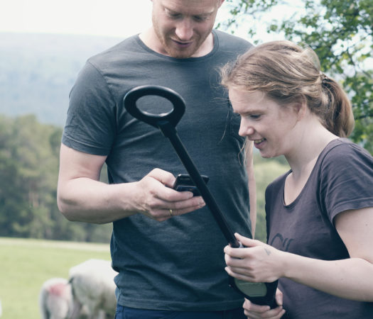 Foto forside: Sau og bønder