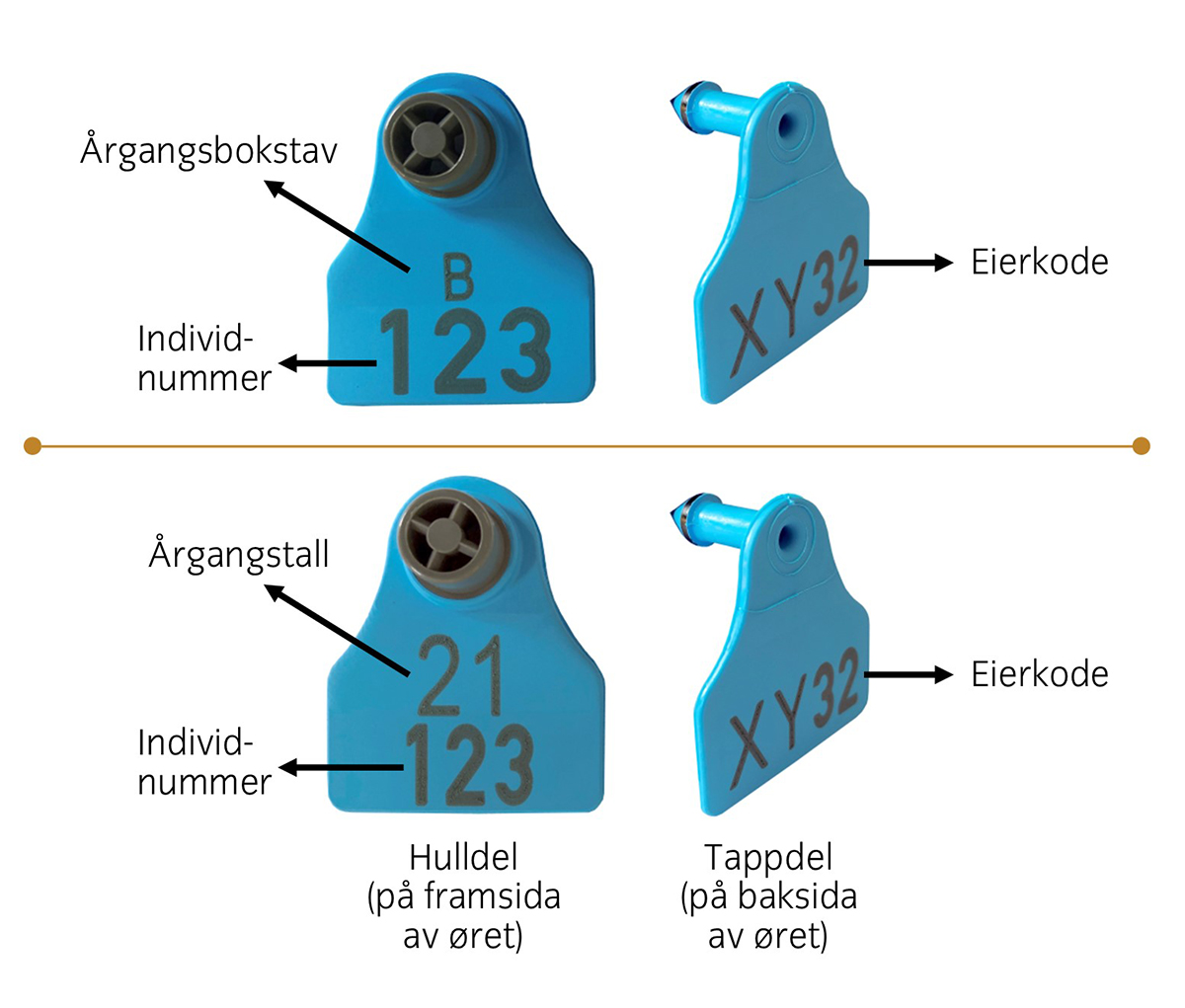 Foto: Årgangstall, årgangsbokstav, individnummer og eierkode, 2021