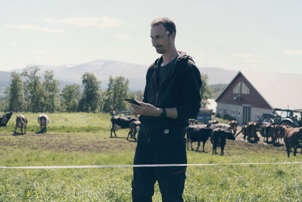 Foto: Produser mer sommermelk. Bonde og mjølkeku med Combi Øremerke og SenseHub eSense øretransponder