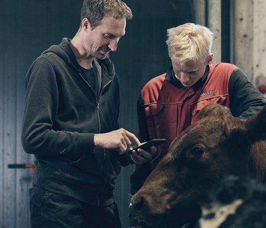 Toppfoto: Video fra Galåen samdrift, om bruk av SenseHub