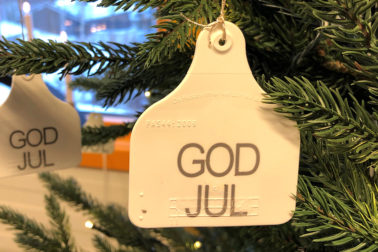 Foto Thumbnail: God jul 2021