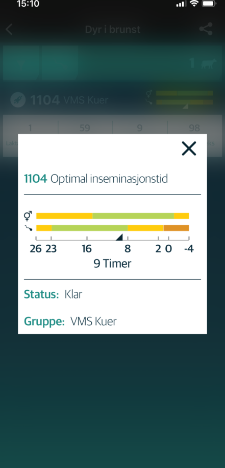 Foto: Sensehubs mobilapp viser optimalt insemineringstidspunkt