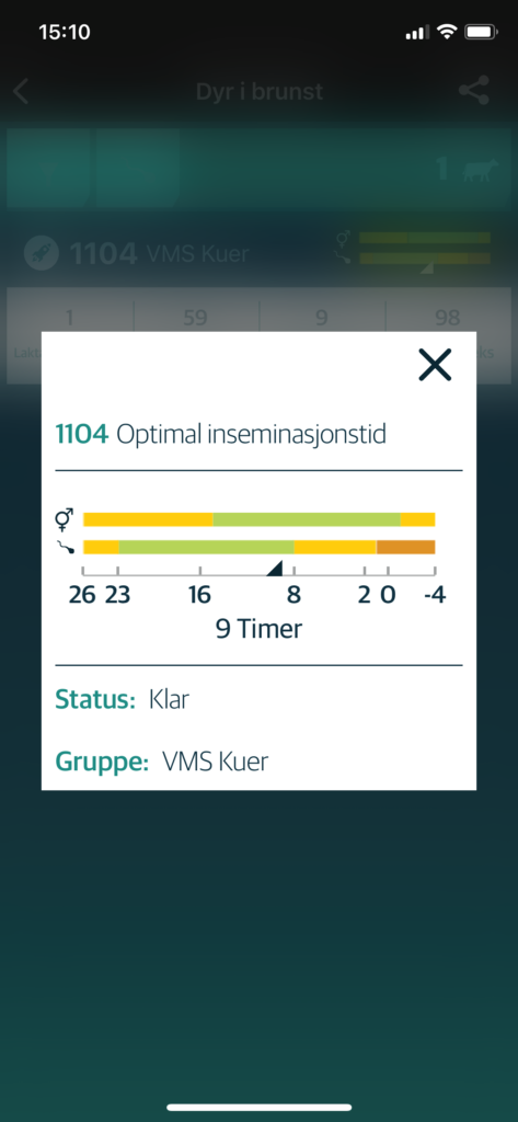 Foto: Sensehubs mobilapp viser optimalt insemineringstidspunkt
