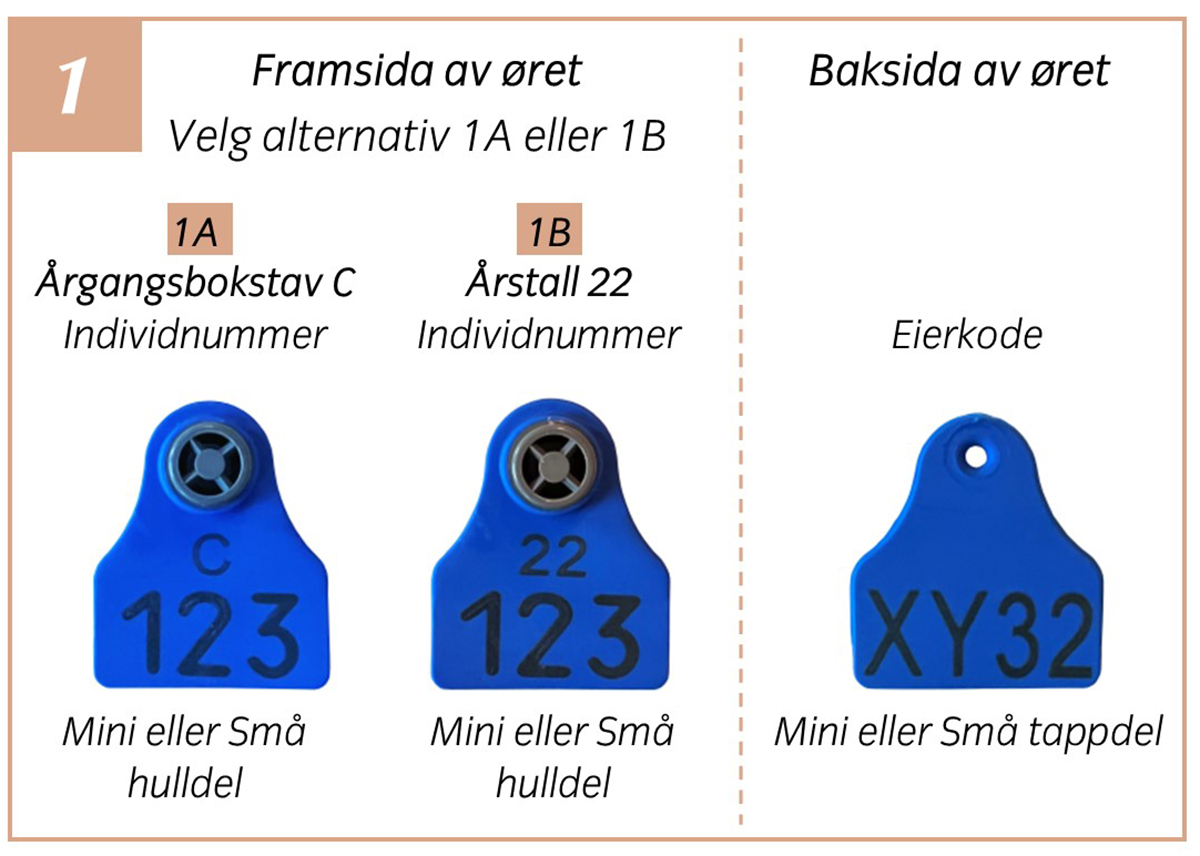 Foto: Kombinasjoner av reinsmerker som gir rabatt, 2022