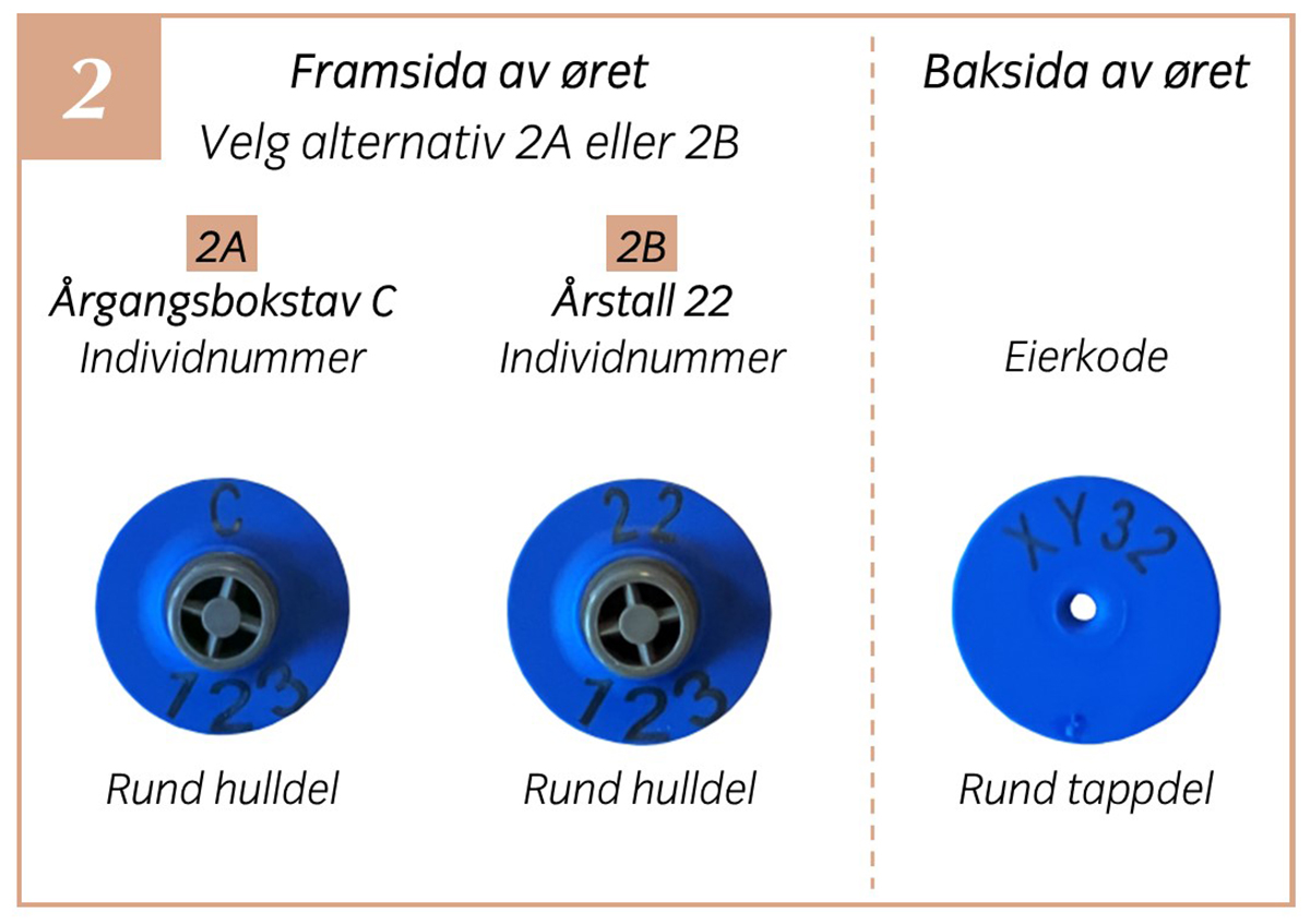 Foto: Kombinasjoner av reinsmerker som gir rabatt, 2022