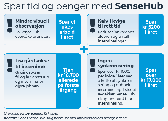 SenseHub på kvigene lønner seg