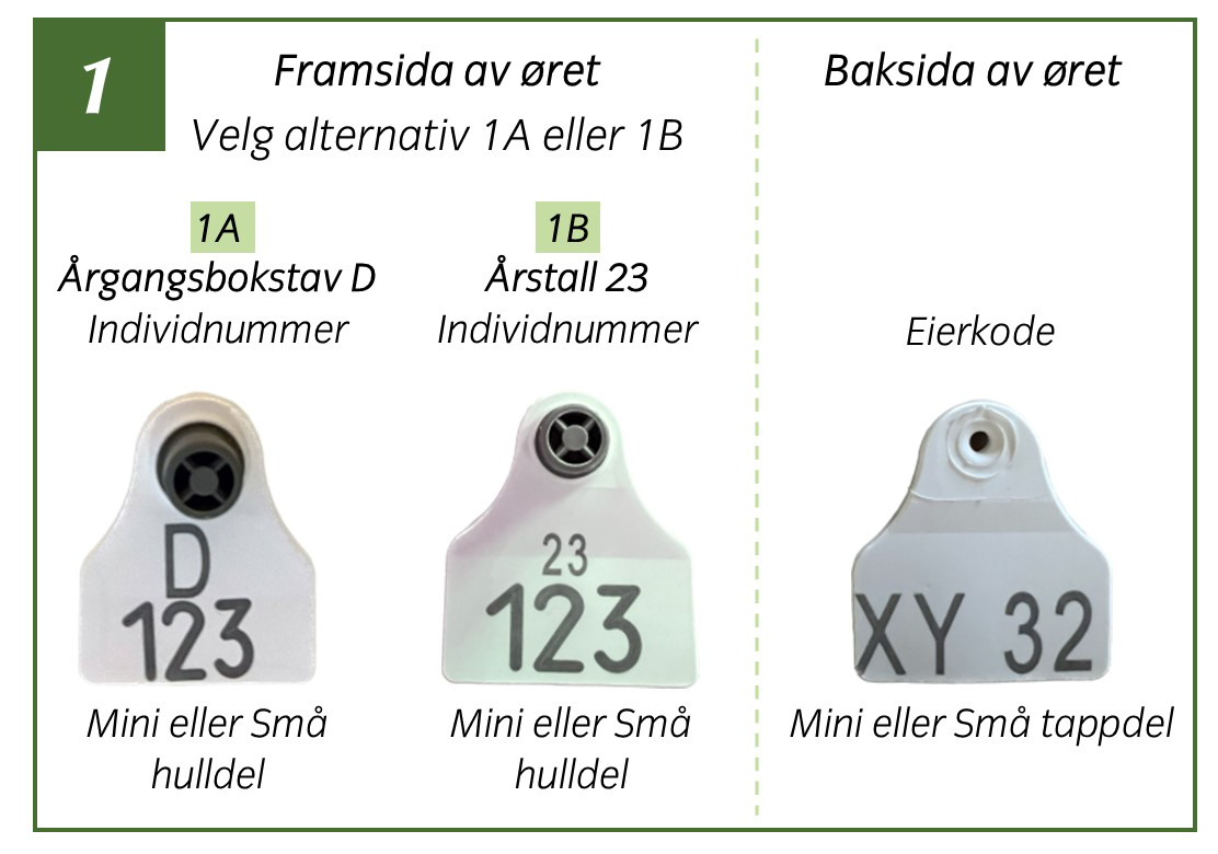 Foto: Kombinasjoner som gir rabatt på øremerker for rein, 2023