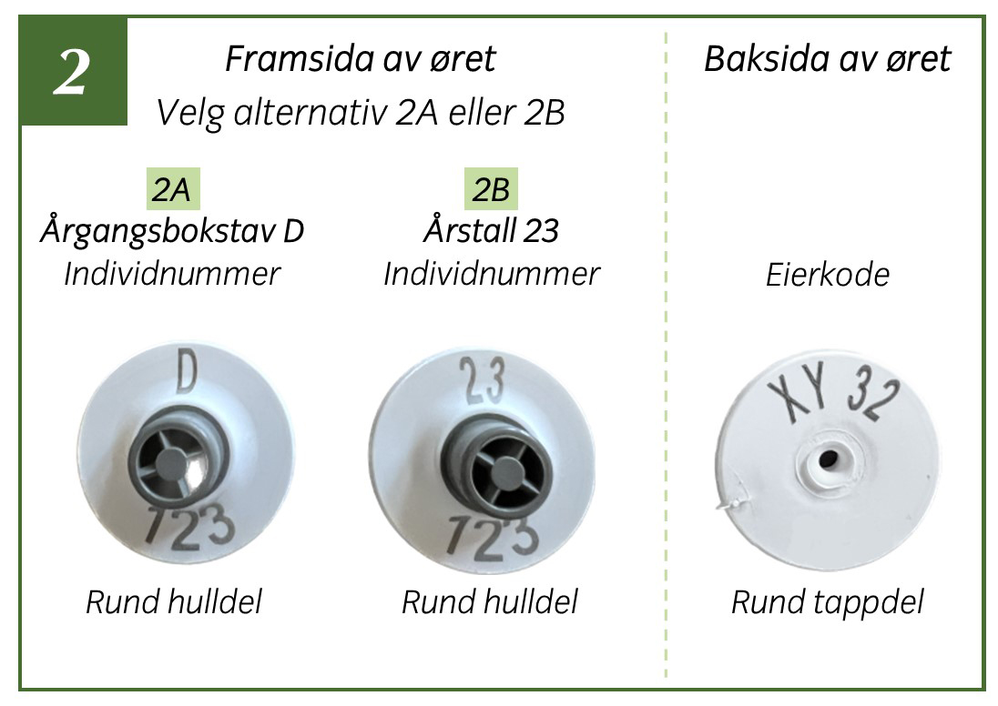 Foto: Kombinasjoner som gir rabatt på øremerker for rein, 2023