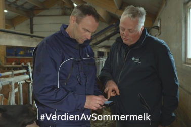 Foto thumbnail: Verdien av sommermelk