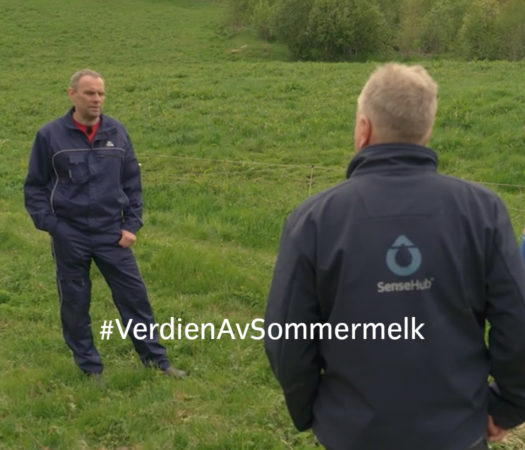 Toppfoto: #VerdienAvSommermelk