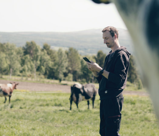 Toppfoto: Nå kan du abonnere på SenseHub