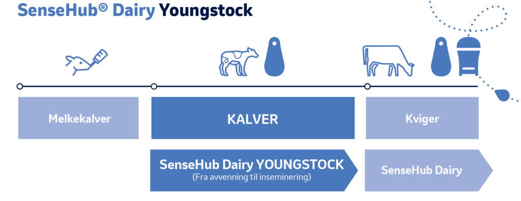 Foto: SenseHub Dairy Youngstock timeline