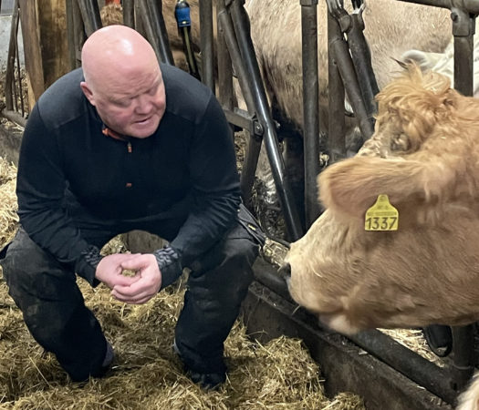 Foto: Erik Kalstad, SenseHub Cow Calf