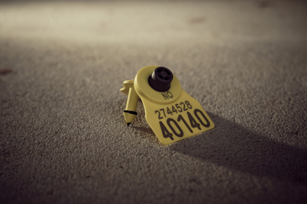 Foto: OS ID E24 Flagg, elektronisk øremerke med merkeplate, for småfe